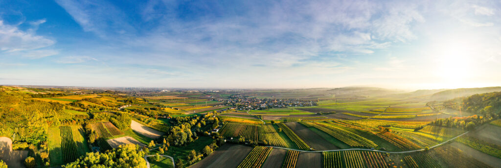 Aerial view of vineyard blocks for multispectral vineyard monitoring